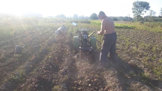 kartofelekopalka vibratsionnaya 61 dlya motobloka minitraktora смотреть онлайн