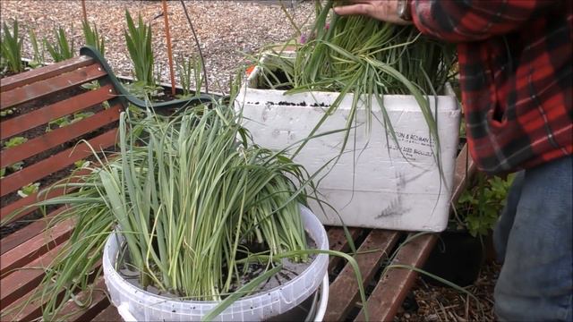 JOBS TO DO FOR THIS WEEK 15-06-2019 смотреть онлайн