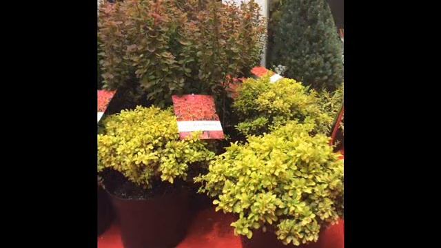 Ландшафт люкс смотреть онлайн