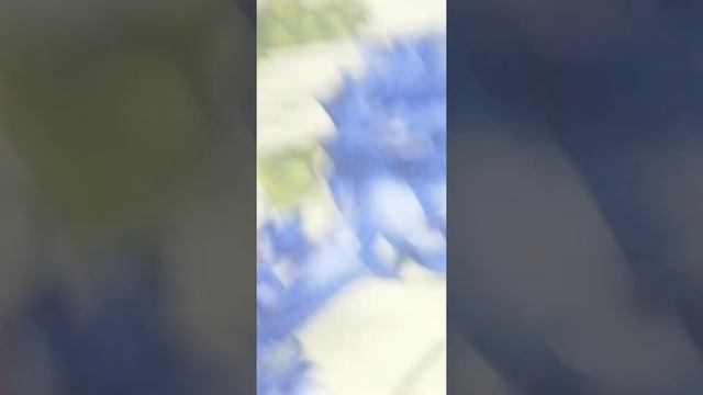 Пропал хомяк найду ли я его?) смотреть онлайн