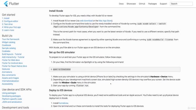 007 Настройка Flutter для macOS смотреть онлайн