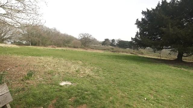 Самая крутая сумка для фотоаппарата Биллингема - Eventer II смотреть онлайн