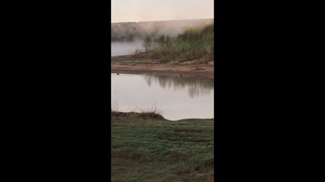 Бросить все и уехать! Психанули и купили дом в деревне. Переезд из Краснодара в Уральскую глушь . смотреть онлайн