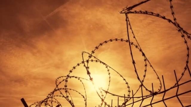 ★★★Голуби летят над нашей зоной★★★ смотреть онлайн