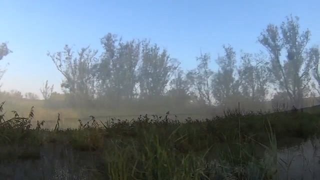 Охота на утку и лысуху 2017 – Обзор одного дня охоты на пернатых смотреть онлайн