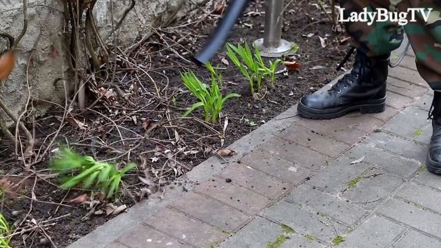 Bosch ALS 30 garden blower & vacuum смотреть онлайн