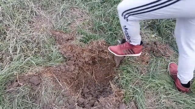 Металло-поиск с МД - 4080 ураа я нашёл это место!!!