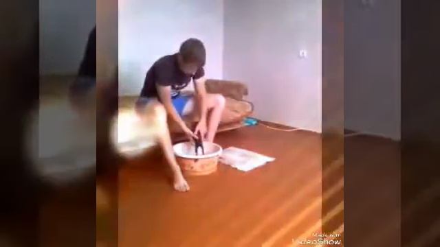 Как помыть кота под музыку смотреть онлайн