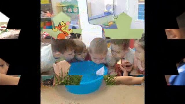 Экспериментальная деятельность в детском саду. Воспитатель Борисова Е.В.