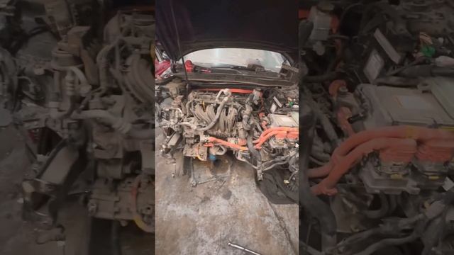 Заводим мотор перед демонтажем смотреть онлайн