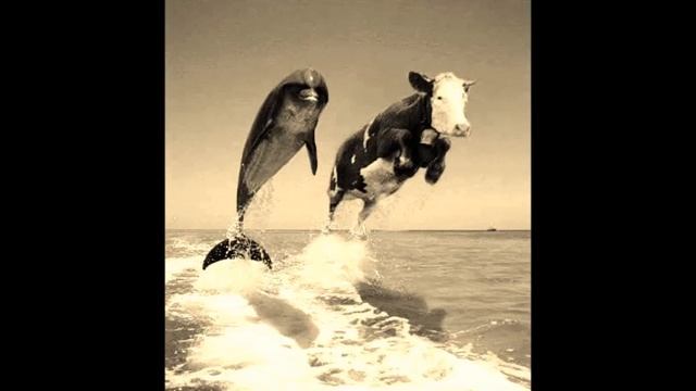 Jazztronik - Samba de XXX смотреть онлайн