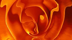 ВИДЕОФОН ДЛЯ ВИДЕОМОНТАЖА