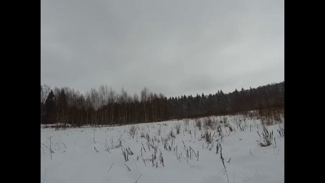 Охота на лося, вышел бык смотреть онлайн