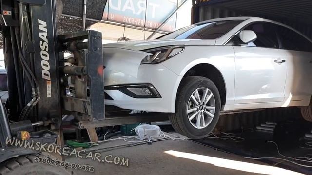Грузим Kia Carnival, Kia K7 (cadenza), Kia Carens , SantaFe , K5 , Sonata. SKOREACAR авто из Кореи