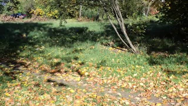 ОСЕНЬ РАСКРАСАВИЦА ! смотреть онлайн