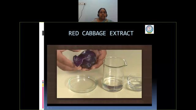 CBSE - Class - X - Chemistry - Indicators смотреть онлайн