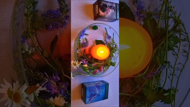 гадание на суженого таро #shorts смотреть онлайн