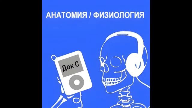 Анатомия и физиология - Лекция 1 - Введение в курс смотреть онлайн