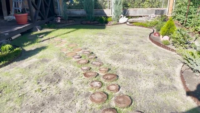 Как засеять газон своими руками ВЕСЬ ПРОЦЕСС ОТ А до Я смотреть онлайн