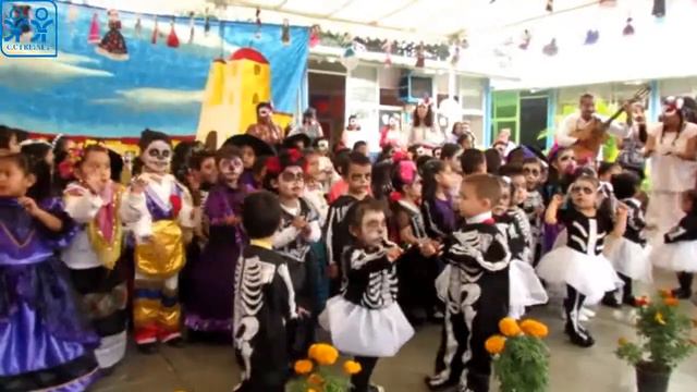 No tener clases da miedo - Celestin Freinet Oaxaca смотреть онлайн