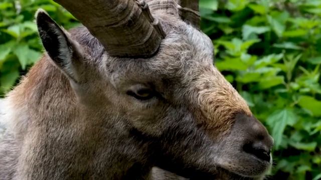 Стройка Формат