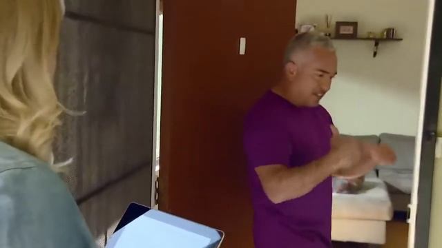 Из-за собаки, хозяйку выгоняют из дома | Цезарь Милан # 1 смотреть онлайн