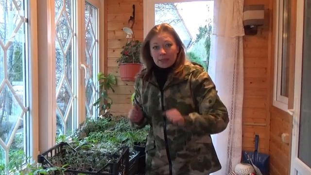 КАК ПОДГОТОВИТЬ РАССАДУ К ПЕРЕЕЗДУ БЕЗ ПОТЕРЬ ??? САД ДЛЯ ДУШИ 2022 смотреть онлайн