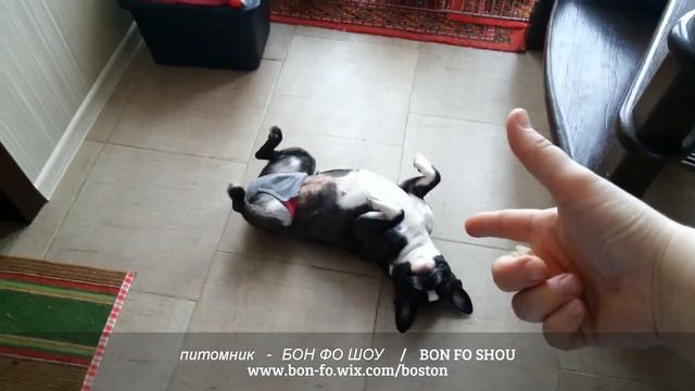 Актриса, еще дубль ... смотреть онлайн