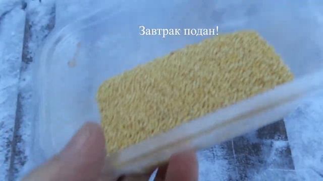 Как работает птичья столовая зимой. Зарисовка. Корм для птиц. смотреть онлайн