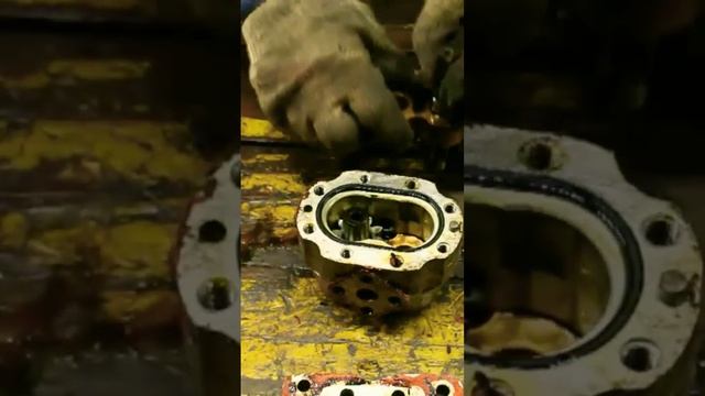 т 25 нш 10 л смотреть онлайн