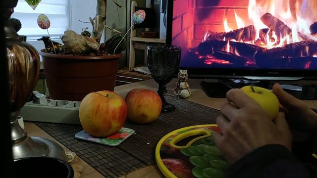 Сорт яблук "Голден Рейнджерс" смотреть онлайн