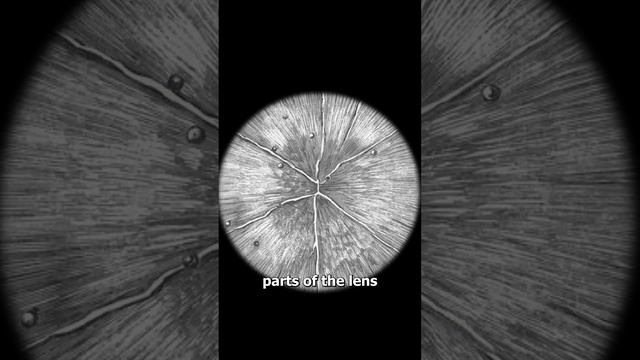 Why We Draw Stars With Points ? (weird) смотреть онлайн