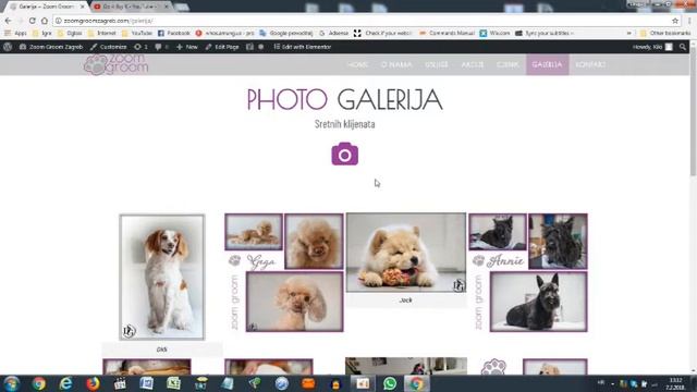 Wordpress gallery (Elementor) stopped working. Solution and quick fix. смотреть онлайн