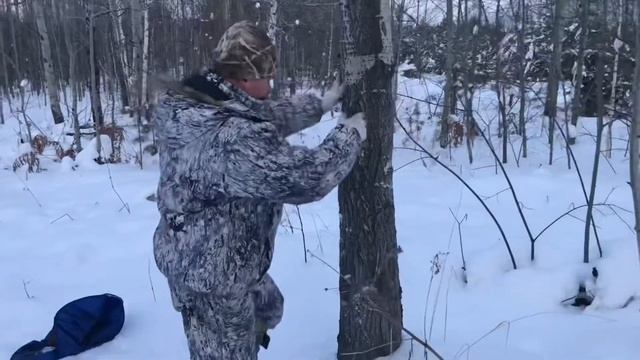 Гафы / древолазы / кедролазы смотреть онлайн