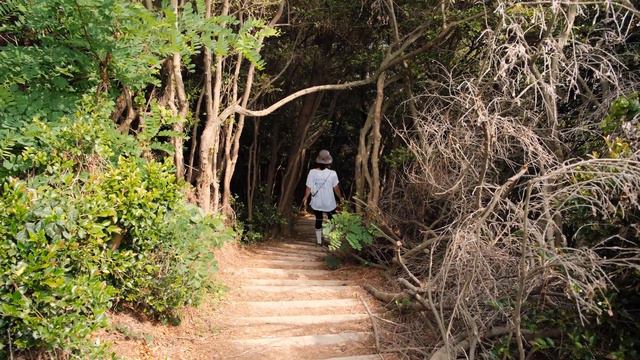 해가 지면 조용해지는 섬, 여수 낭도 백패킹 [4K] смотреть онлайн