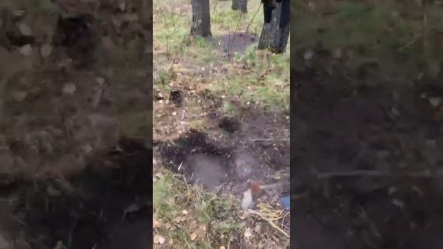 Выживание в лесу. Гамак своими руками. Красноярский край. Туризм. Подписчики Максометра. Отдых. смотреть онлайн