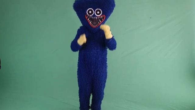 Хаги Ваги на зеленом фоне | Футаж | Хромакей смотреть онлайн