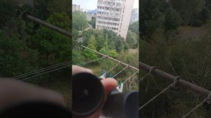 Нюанс определения кратности бинокля