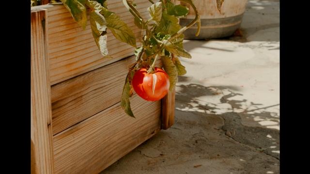 Leica MP: Learning Photography смотреть онлайн