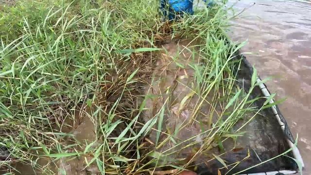 VEJA O QUE ACONTECE COM O CORPO HUMANO NA INCLUSÃO DE UM SUBER MARINO смотреть онлайн