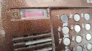 Домофоны. Залипание кнопки на домофоне Eltis(Элтис) ЦП100ТМ10 (старой версии прошивки)