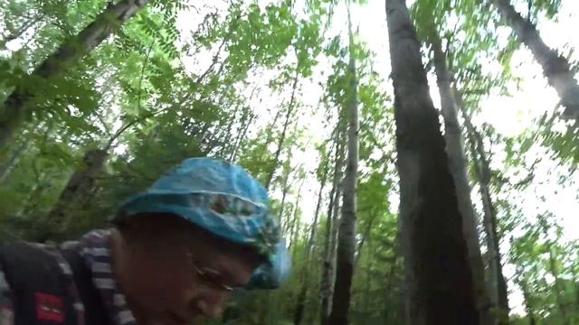 Жара, пермский лес, грибочки. 13 июля 2022. смотреть онлайн