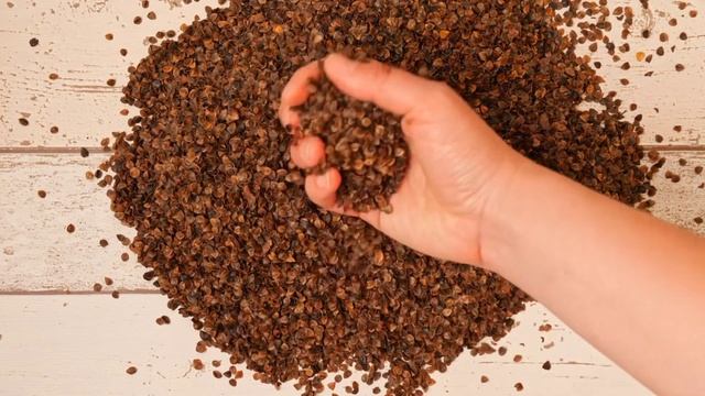 КҮНДЕ 1 стакан ГРЕЧКА жеп, 1 кг салмақтан арылдым? смотреть онлайн