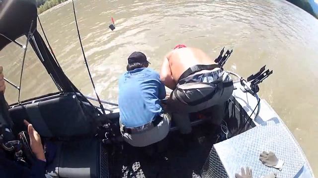 Ловля белого Осетра Канада 2 метра 33 см fraser river рыбалка канада sturgeon fishing смотреть онлайн