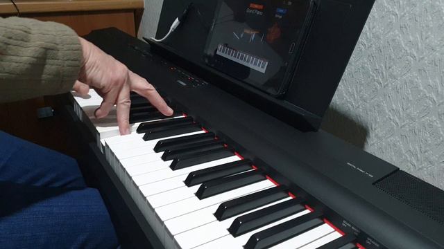 Medley of Songs played on Yamaha P125 Digital Piano смотреть онлайн
