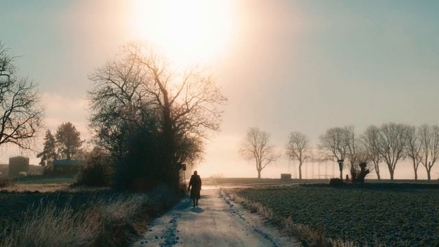 Lumix S5 cinematic 4K test | December sun смотреть онлайн