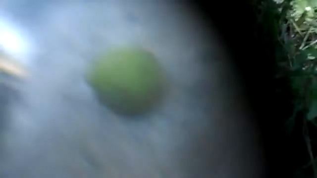 Макро съёмка на обычный телефон в хорошем качестве!!! смотреть онлайн