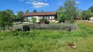 Проезжая Ипподром и Ленинку (Барышский район)