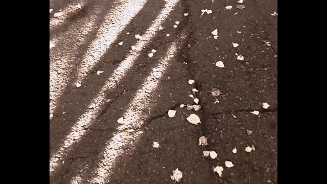 Стихотворение "Вот и лето прошло", Арсений Александрович Тарковский. Читает Данил Глыва. смотреть онлайн
