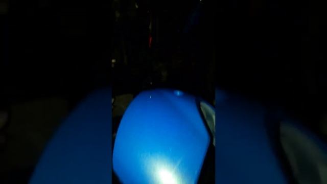 Cat blue oreo mutiara hijau glowingssss??????#shorstvidio смотреть онлайн